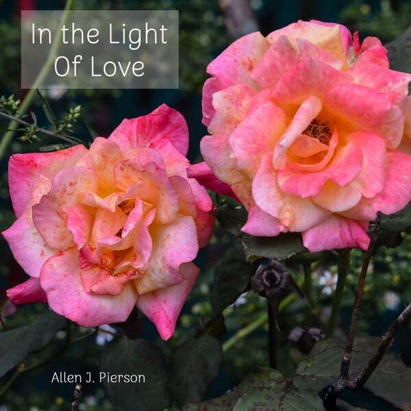 Cover art for In the Light of Love
